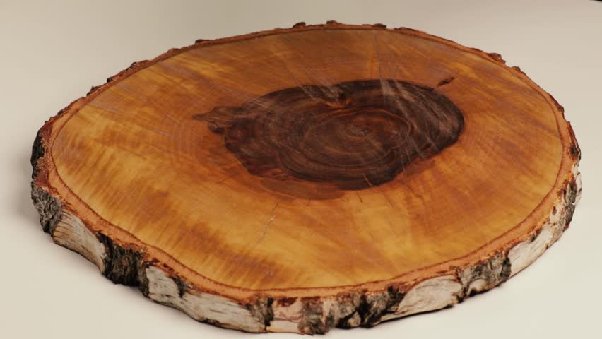 The chef decorates the сharcuterie and cheese platter. Appetizers boards with assorted cheese, salami, ham, olives and nuts. Speed Motion