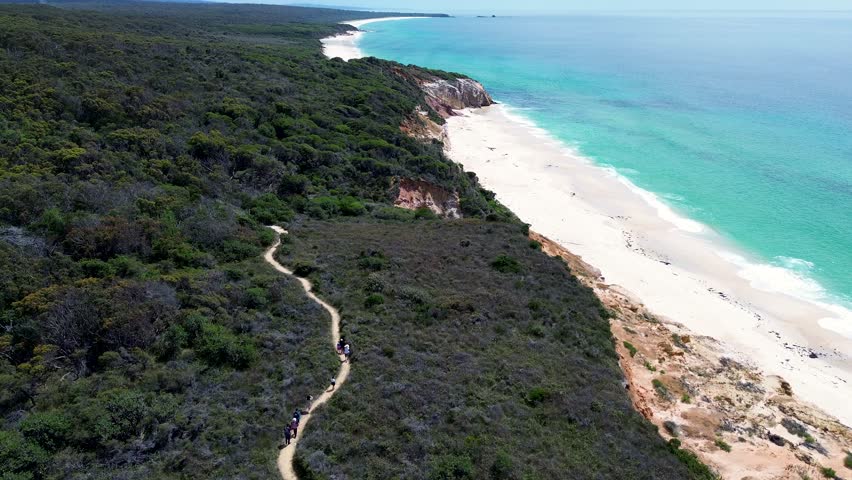 Drone aerial scenic walking trail loop Pinnacles coastline bushland national park sandy beach travel holiday Pambula Eden South Coast Australia Royalty-Free Stock Footage #3417208899