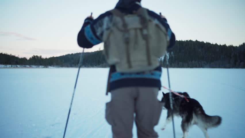 Indre Fosen, Trondelag County, Norway - A Man and His Dog Skiing in the Snow-covered Countryside Close to the Mountains - Static Shot