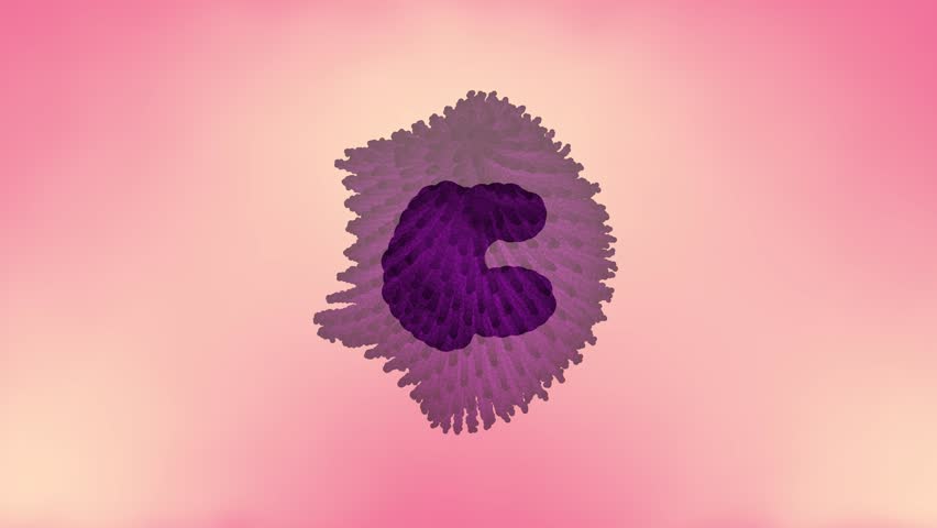 DNA Virus (Anatomy of Typical Virus) - Powered by Shutterstock - Get 15% off with code: PIKWIZARD15