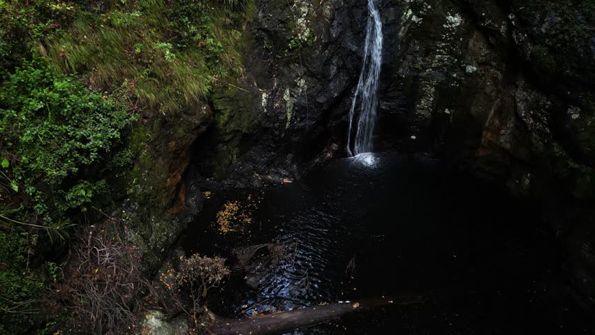 Water cascading down into a naturally formed swimming hole hidden deep amongst a tropical jungle oasis. Cinematic drone reveal