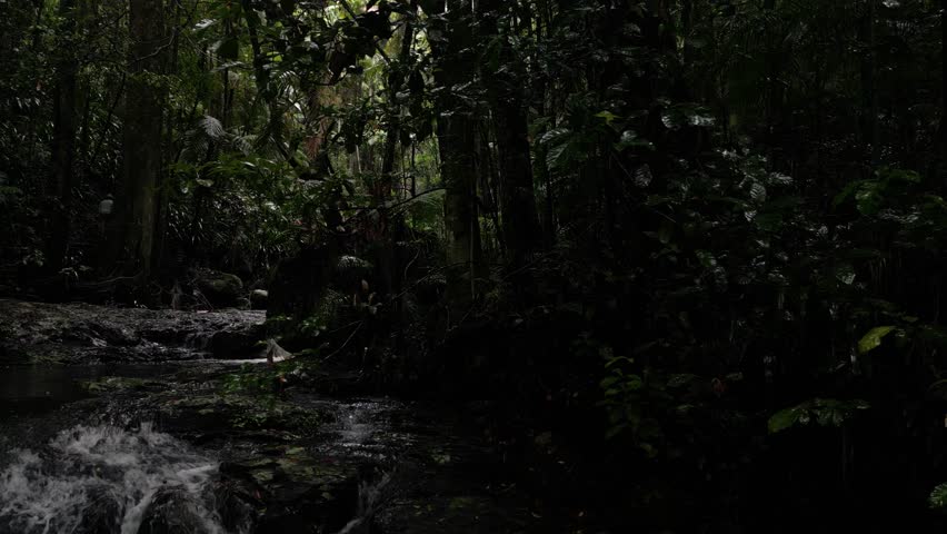 People exploring a lush tropical rainforest oasis walking track with cascading waterfalls flowing into waterholes. Slow cinematic reveal Royalty-Free Stock Footage #3417258969