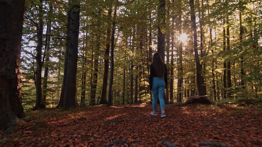 Young woman walks through natural forest. Girl hiking alone in nature at sunset. Active lifestyle. People in forest. Beautiful female explore the wild forest on holiday Royalty-Free Stock Footage #3417281693