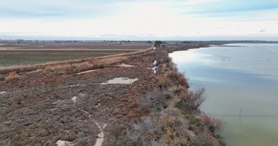 Shot of the Camargue near Aigues-Mortes. Shot one morning in January 2024