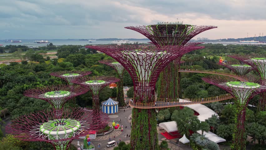 Supertree Grove at Gardens by the Bay, Singapore Royalty-Free Stock Footage #3417382067