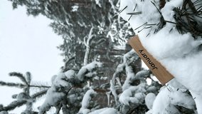 Vertical footage of January word on wooden sign on Pine tree covered in Snow in a cold beautiful Winter forest. Snowfall weather background. The month announcement. Snowflakes falling in slow motion - Powered by Shutterstock - Get 15% off with code: PIKWIZARD15