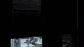 Silhouette of a woman closing the blinds. Wooden blinds that close on large windows in the interior - Powered by Shutterstock - Get 15% off with code: PIKWIZARD15