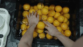 A Woman Washes Oranges in a Black Sink Overflowing with Fruit, Top View, in Slow Motion. - Powered by Shutterstock - Get 15% off with code: PIKWIZARD15