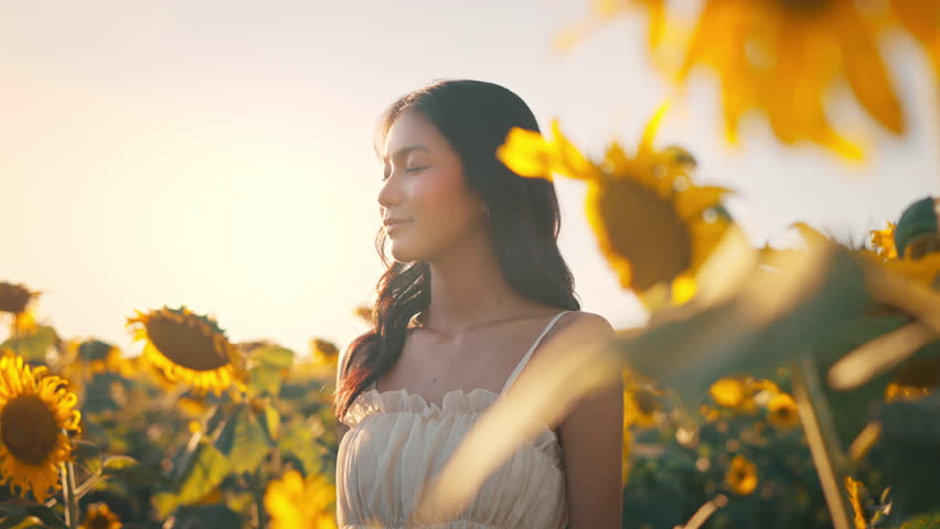 Young carefree asian woman exhaling fresh air in field with sunflowers in sunset, enjoying nature, happy female closed her eyes dream.
