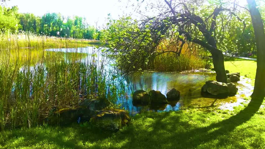Scenic view at beautiful spring on a shiny river valley with green branches, trees, bushes, grass, golden sun, calm water ,deep blue cloudy sky and forest on a background, spring landscape