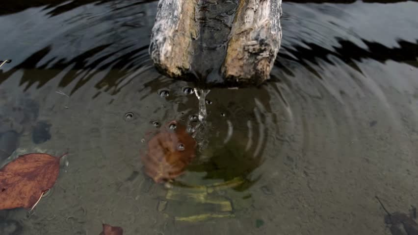 Archaic natural water source in chute. Clean, fresh, natural spring of drinking water falls from a wooden channel. Mountain spring water flows through a wood gutter.