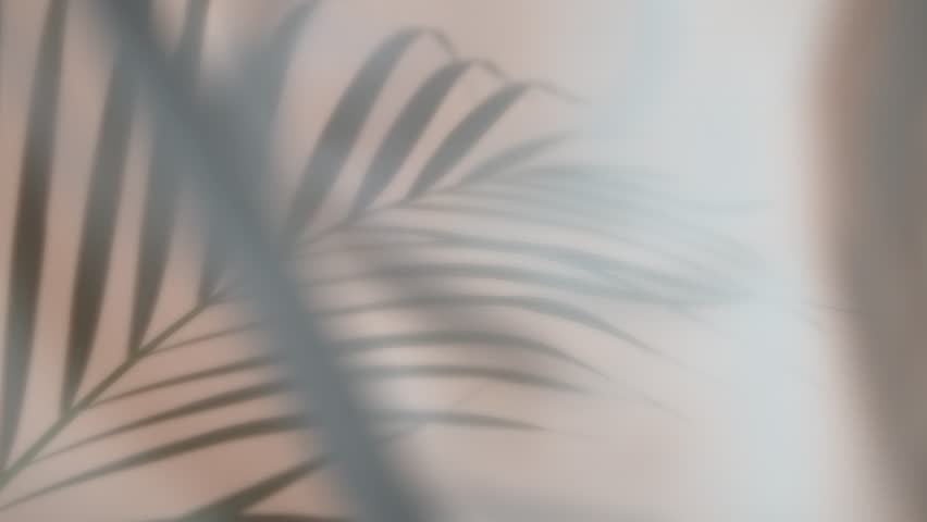 Palm Leaves Motion by Natural Wind Isolated on Beige Background. Super Slow Motion Filmed on High Speed Cinema Camera at 1000 fps. Royalty-Free Stock Footage #3418268887