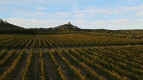 Rising aerial view of orderly rows of grapevines in a vineyard in Provence, France - Powered by Shutterstock - Get 15% off with code: PIKWIZARD15
