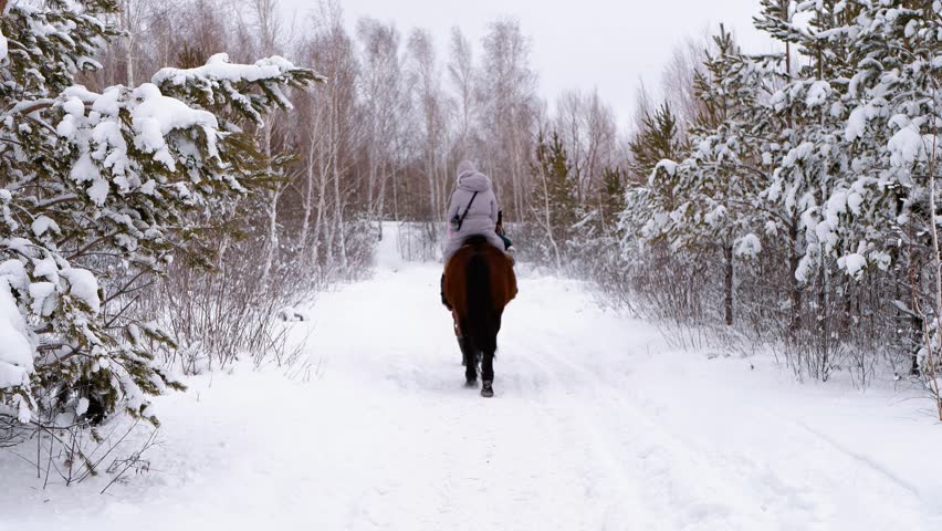 A girl rides a horse through the winter forest. Winter activities and tourism.