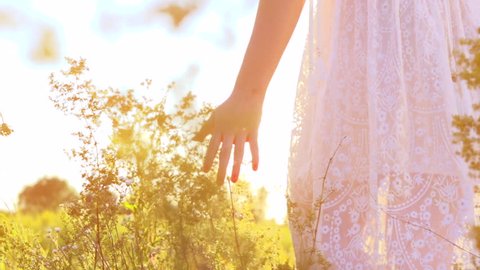 Young woman hand running through wild meadow field. Female hand touching wild flowers closeup. Summertime concept. 4K Ultra high definition 3840X2160. Slow motion video