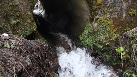 Stream flowing under the bridge in the forest, Flowing water through pipe in the forest