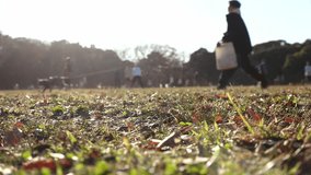 SHIBUYA, TOKYO, JAPAN : View of Yoyogi park in sunset. Sunshine, grass and trees. Nature, ecology, holiday and sports concept video. Time lapse shot.