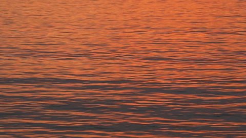 Wavy sunset water. Background