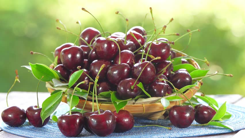 Red Cherry fruit in wooden basket on wooden table in garden, Red Cherry on blurred greenery background.