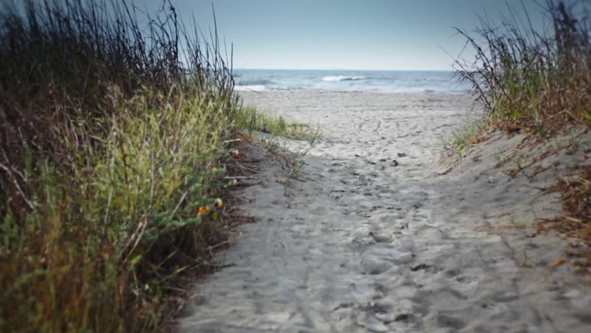 Early morning looking at ocean through path in the dunes on Isle of Palms (near Charleston, SC). Sea oats blowing in breeze. Natural sound.