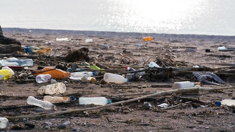 beach polluted with plastic bottles