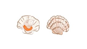 Raw fresh scallops with shells