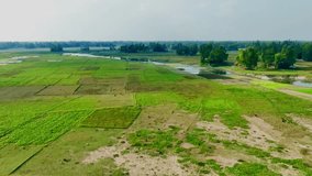 Riverside Agriculture field Aerial view, Serene Riverside Retreat, Tranquil Nature Footage