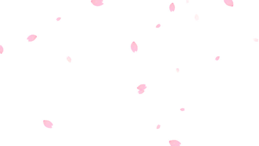 watercolor cherry blossom small petals falling animation