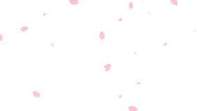 watercolor cherry blossom small petals falling animation - Powered by Shutterstock - Get 15% off with code: PIKWIZARD15