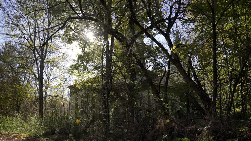  A creepy old abandoned house in the woods. A spooky, aged and deserted building located in the forest. High quality 4k footage
