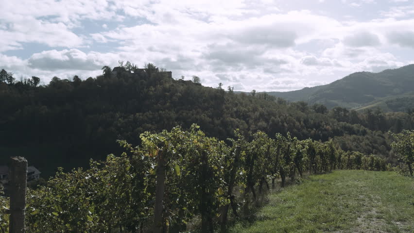 A stunning view of a vineyard from a distance showcases the natural beauty and scenic surroundings of a winery in Durbach, Germany, Baden 