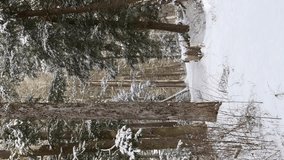 
vertical video of heavy snow fall in pine tree forest, hand held video, cold winter weather - Powered by Shutterstock - Get 15% off with code: PIKWIZARD15