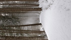 
vertical video of heavy snow fall in pine tree forest, hand held video, cold winter weather - Powered by Shutterstock - Get 15% off with code: PIKWIZARD15