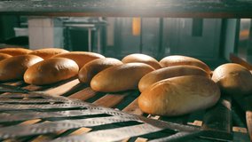 Freshly Baked Loaves in Industrial Oven, Golden loaves of bread baking in a commercial oven - Powered by Shutterstock - Get 15% off with code: PIKWIZARD15