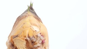 Video shot while turning a large bamboo shoot on a white background.