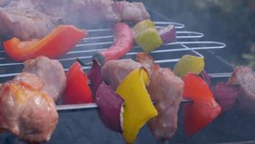 Grilling shashlik kebab on barbecue grill outdoors. Preparing juicy meat kebab on skewer in smoke. BBQ. Grill outdoors. Picnic time. High quality 4k footage