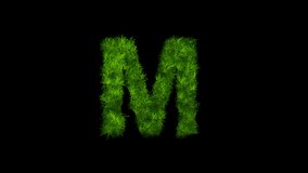 Letter M made of grass with alpha channel, alphabet in the form of green grass