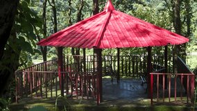 Hilltop Retreat: Metal Shelter Amidst Sal Wood Forest, Dehradun, Uttarakhand, India - Stock Media for Nature Tourism and Adventure Exploration