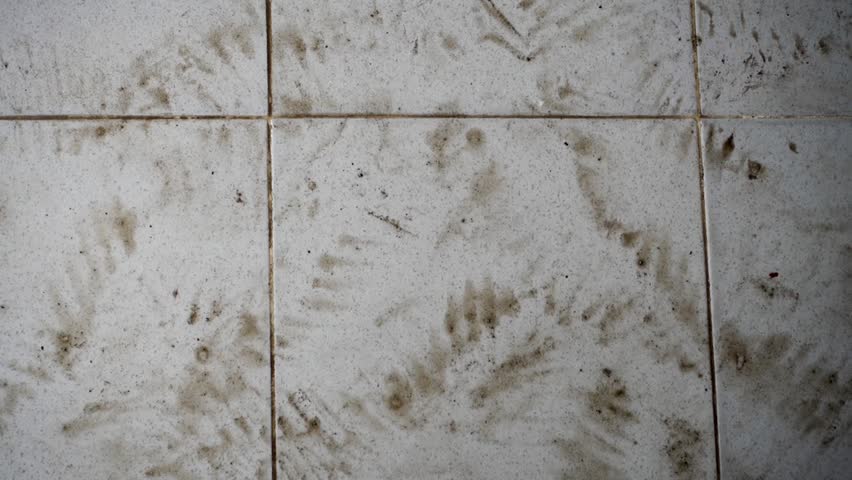 Muddy Impressions: Dirty Footprints on Wet Tiled Floor in India Royalty-Free Stock Footage #3420303027