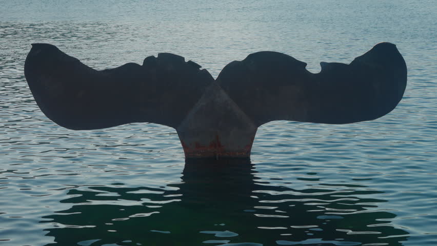 Cartagena, Spain Engineering university of Cartagena, Spain, with the Whale tail sculpture on the foreground