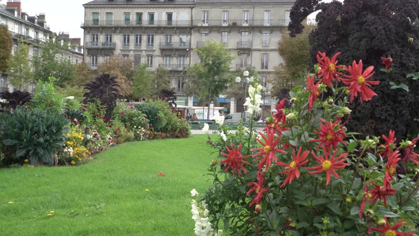 Red and white flowers on a french city square with fountain in Grenoble
