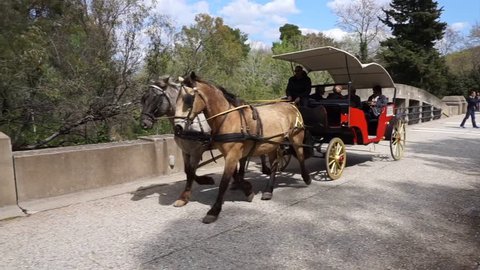 April 2015: Video from horse carriage outside archaeological site of Olympia, Peloponnese, Greece