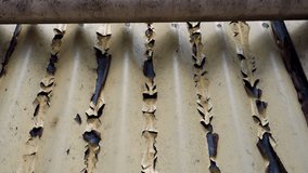 A closeup shot of paint coming off in peeled form from a metal sheet roof . uttarakhand North India. - Powered by Shutterstock - Get 15% off with code: PIKWIZARD15
