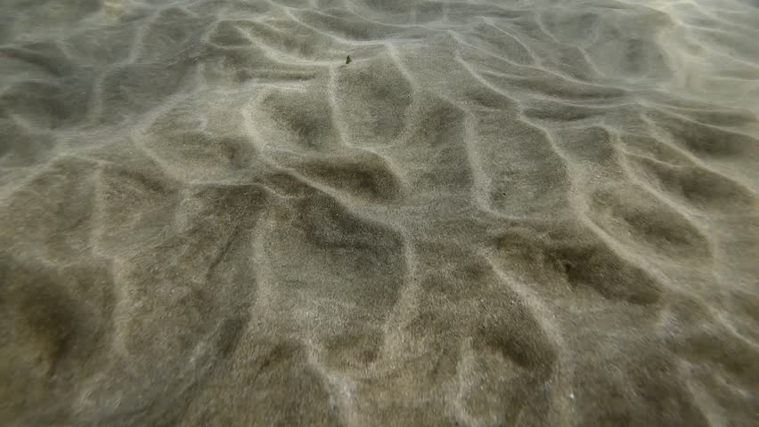 Movement of sand at sea bottom in the surf zone. A waves in coastal area sets sands on seabed in motion, Slow motion. Natural underwater background with sandy movement Royalty-Free Stock Footage #3420356813