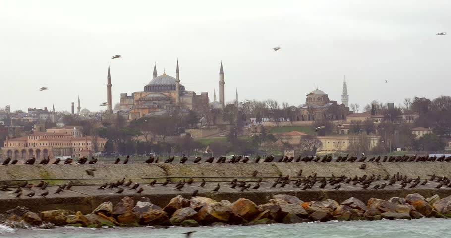 A fantastic view of Hagia Sophia and birds from a ferry in the Istanbul Strait. Royalty-Free Stock Footage #3420570073