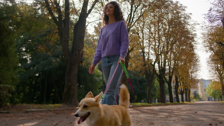 Dog walker going with cute little puppy on leash walking in autumn park Caucasian young woman girl pet owner female handler walk with welsh corgi breed along city street outdoors happy domestic animal