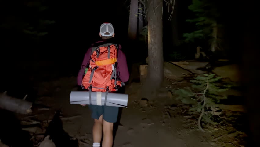 Back view of male hiker in shorts and hoodie, with backpack and rag walking in a forest along path with boulders and fallen conifers at night, adventurer. High quality 4k footage