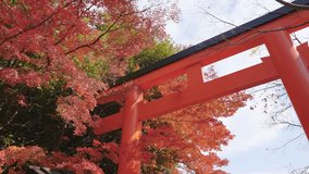 Torii gate of Shimogamo Shrine, Kyoto , Movie