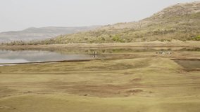 Pan shot of the beautiful dry wetland with habitat vegetaion