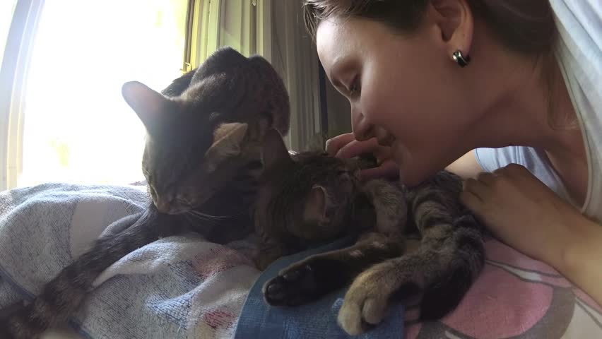 young woman in bed with two cats